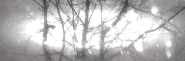 𝓦𝐢𝐧𝐭𝐞𝐫 𝓐𝐡𝐞𝐚𝐝. banner