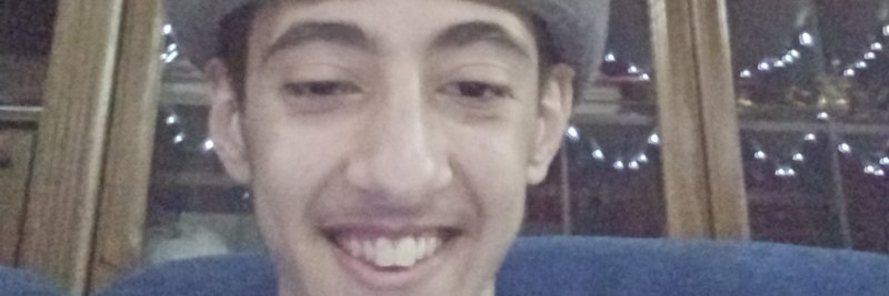 Emanuelisbored banner