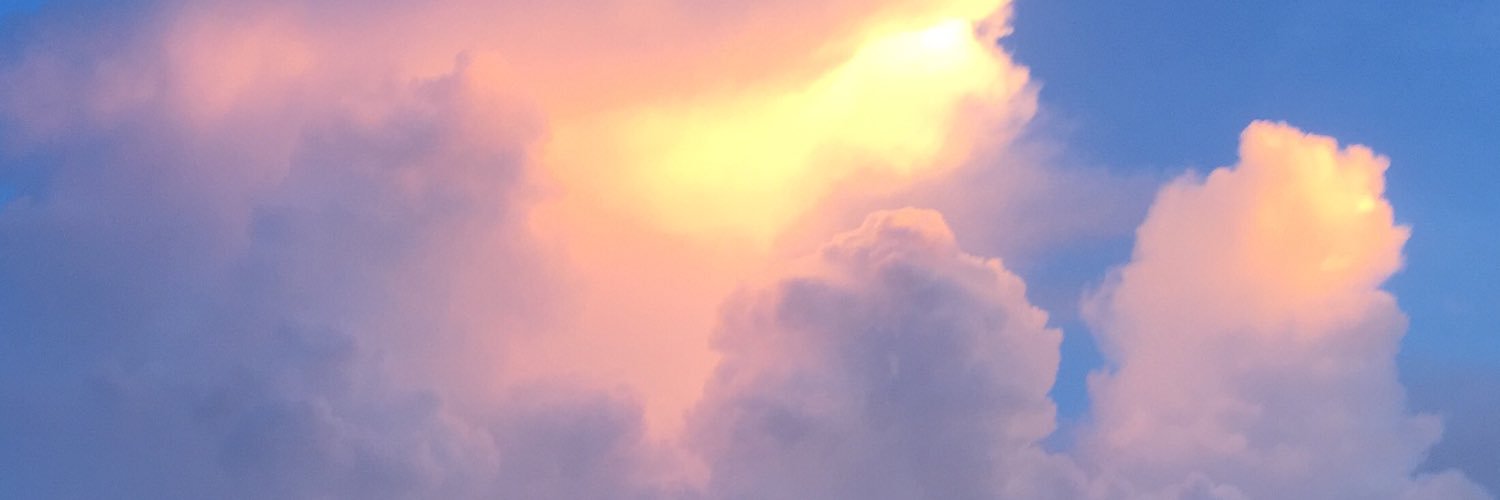 Kris Smith banner