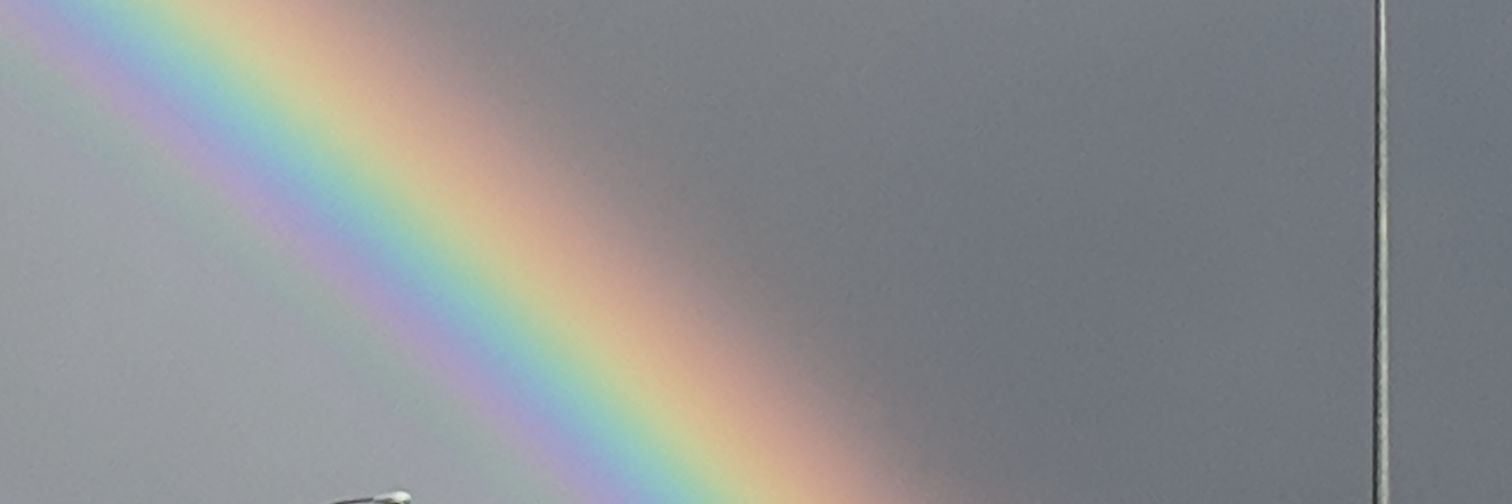 calgaryicegirl's profile banner image