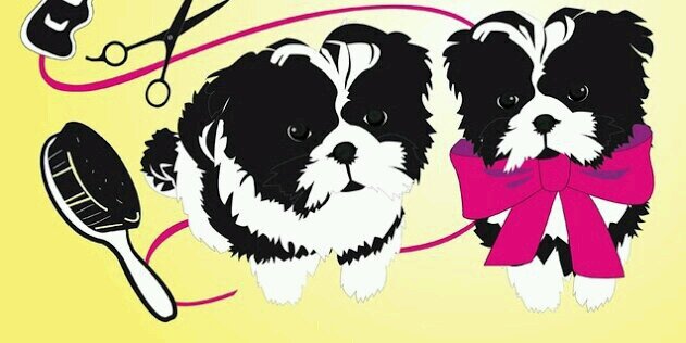 YLS2011's profile banner image