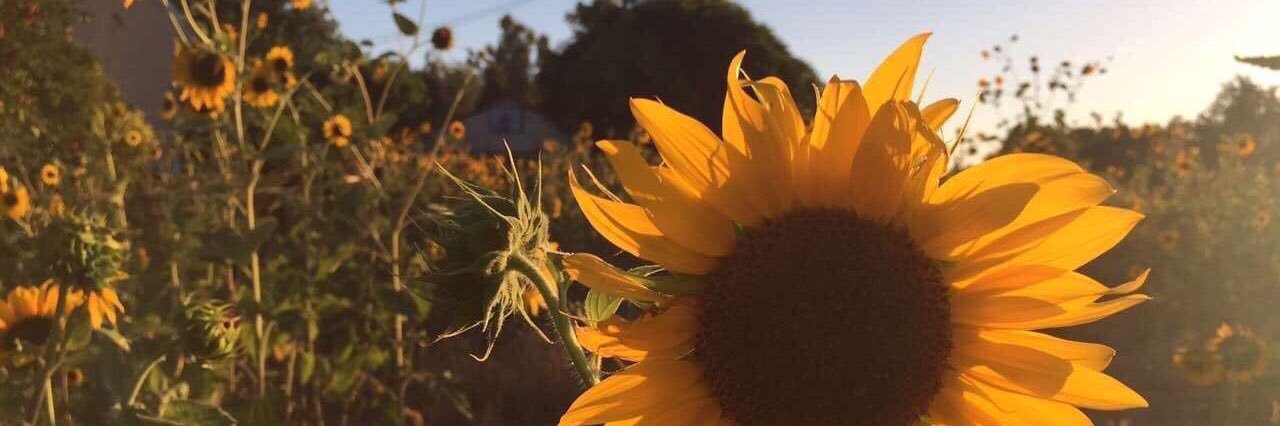 michhdabitch's profile banner image
