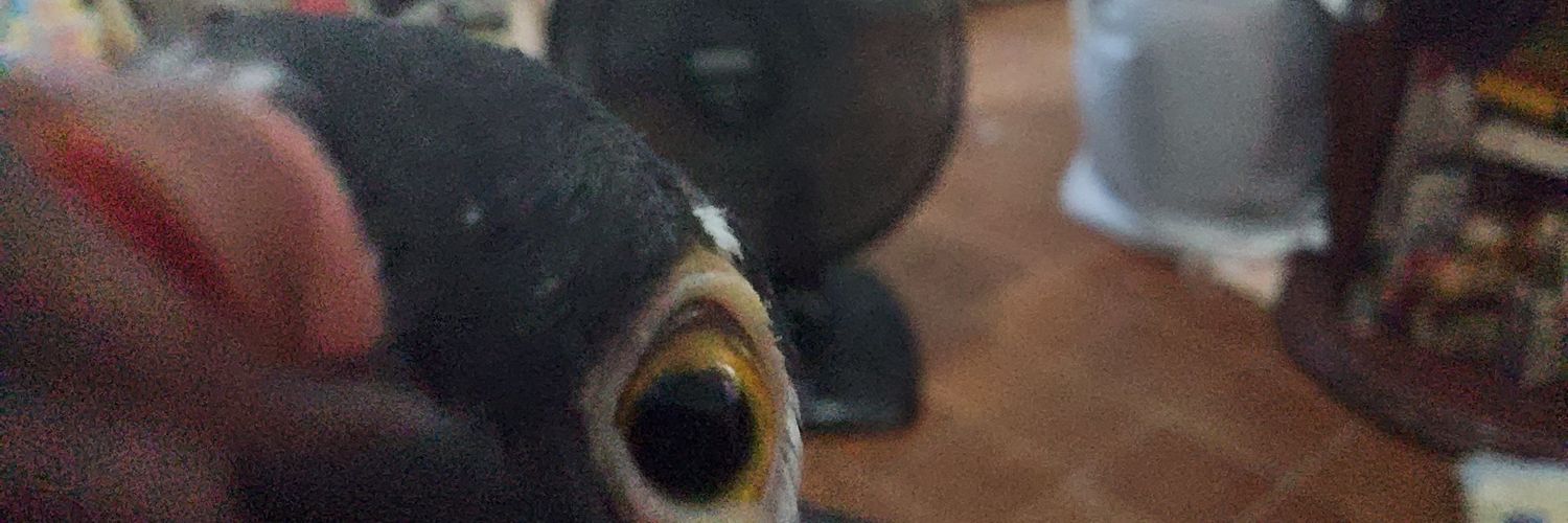 ManiMarc's profile banner image