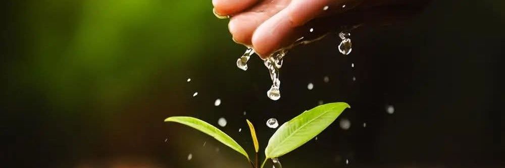 Dila5677's profile banner image