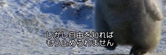 kure_madoy's profile banner image