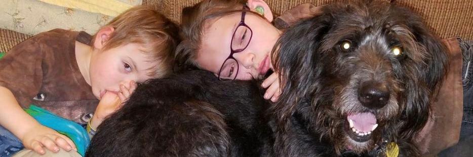 fiona_1956's profile banner image