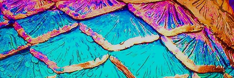 Kristen Danielle banner