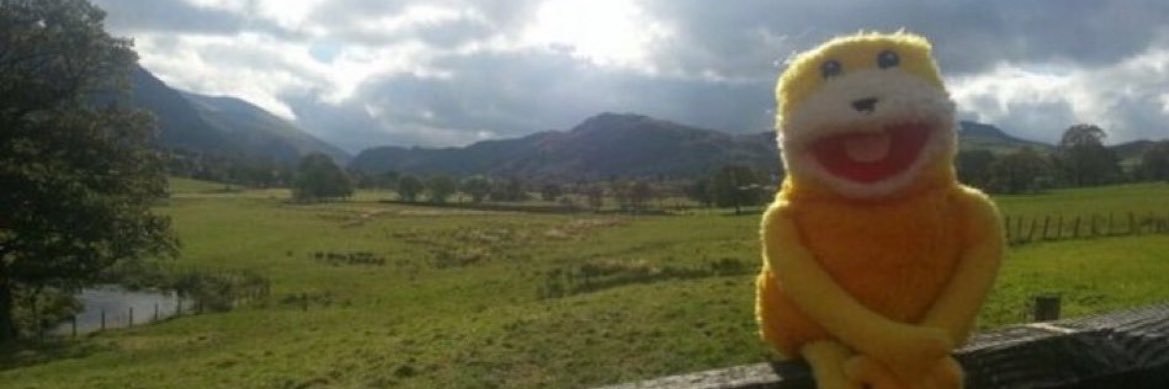 cattiarce's profile banner image