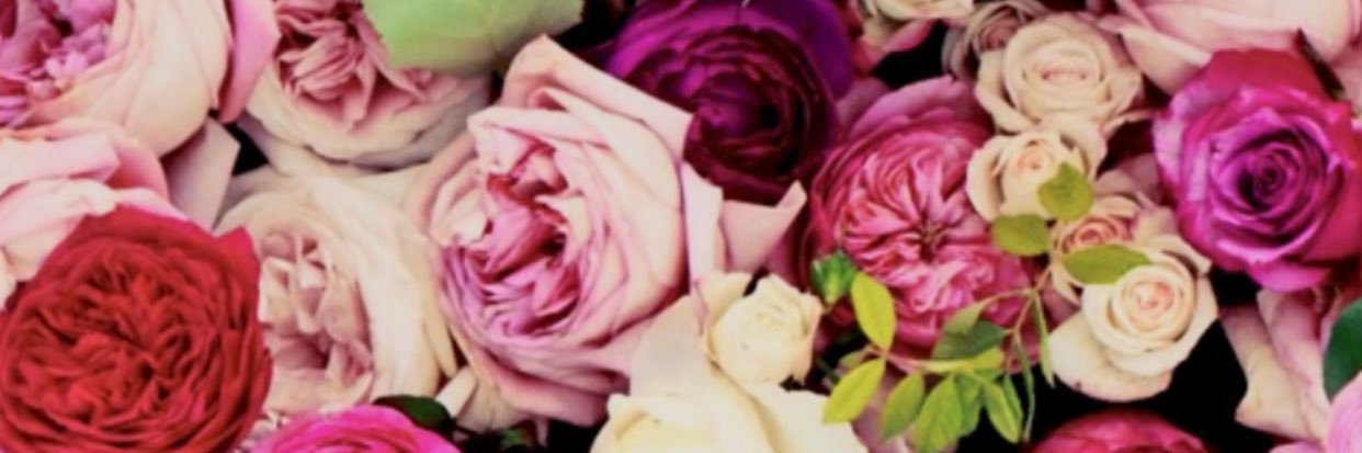 lissleos's profile banner image
