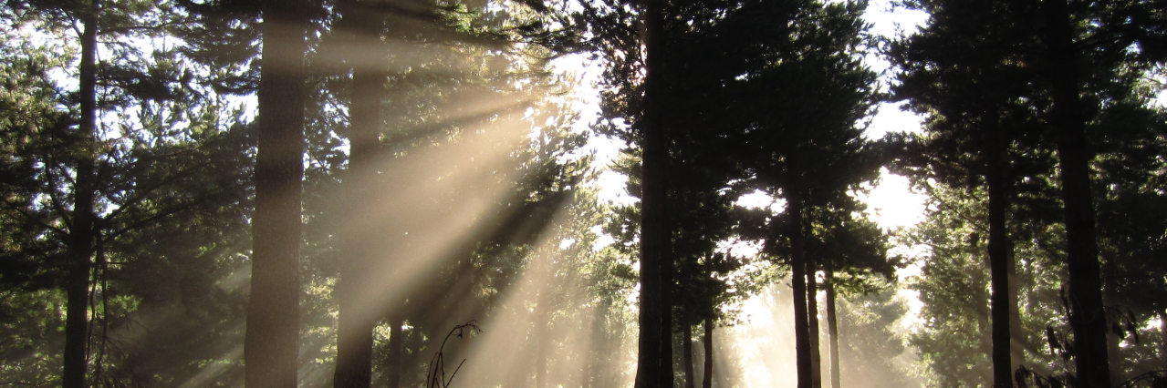 DaveHerries's profile banner image