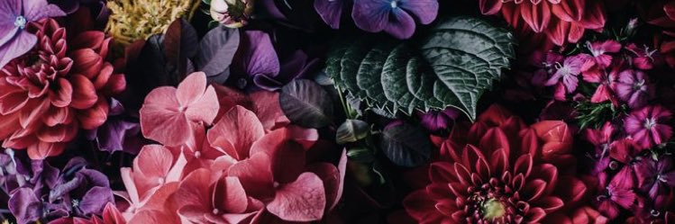 xxx_ht09's profile banner image