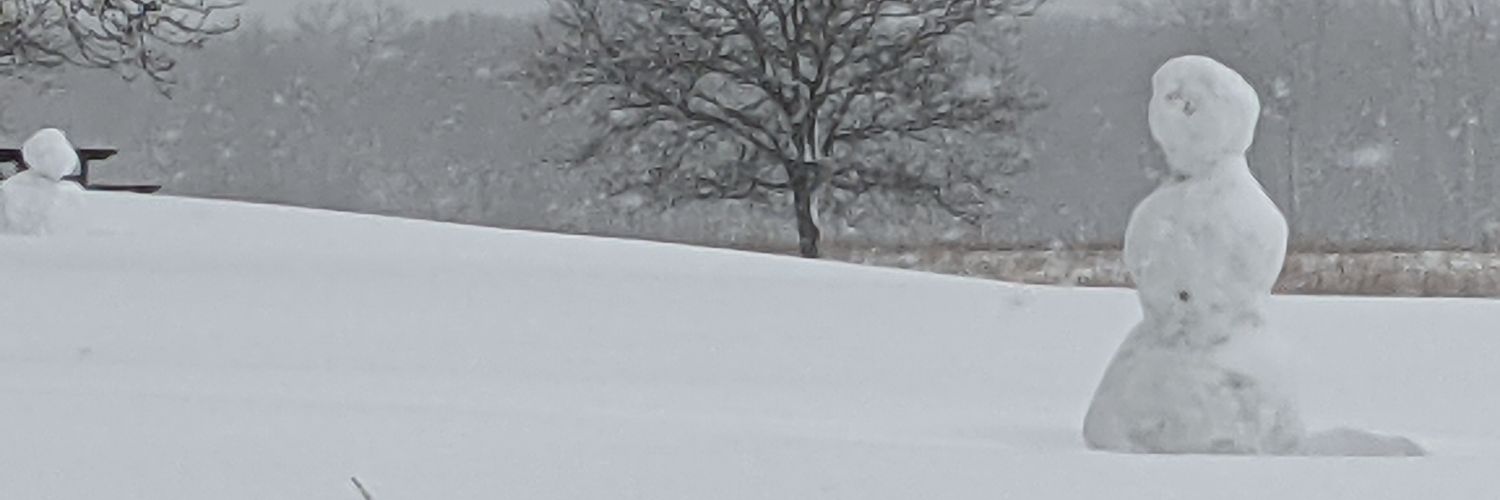 Johnny Gaddar banner