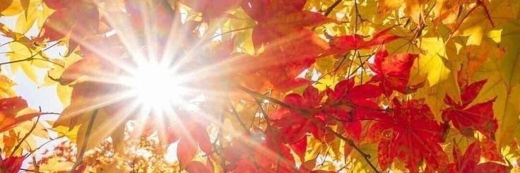 mircioi87490's profile banner image
