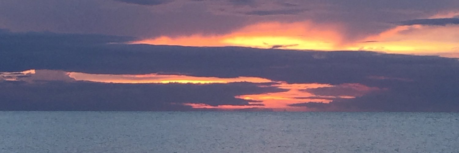 bondi_ir's profile banner image