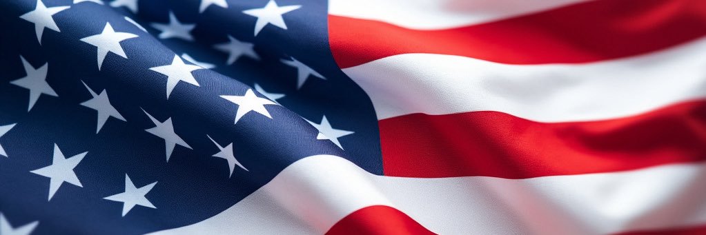 The_Moderate_Virginian banner