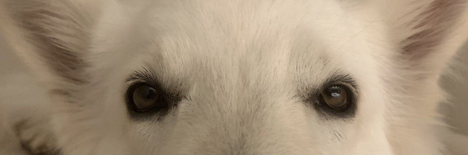 mathzzfelp's profile banner image
