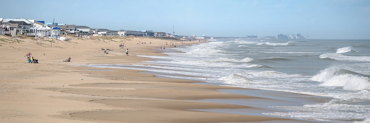 American Beaches banner