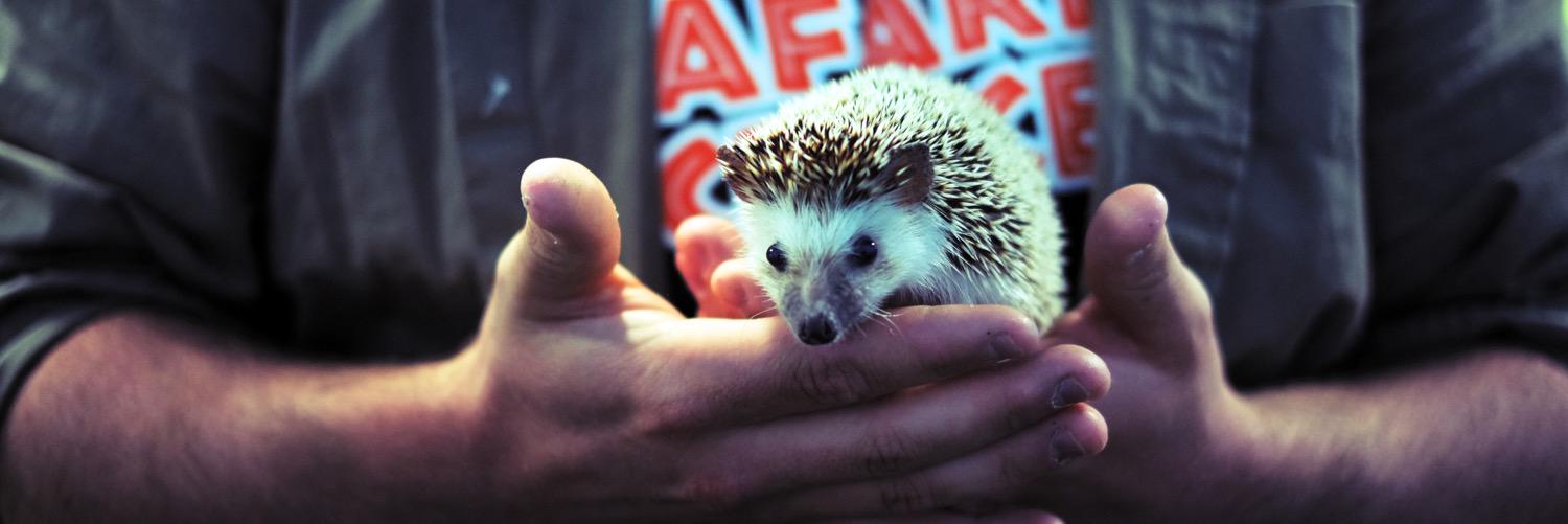 SafariScience's profile banner image