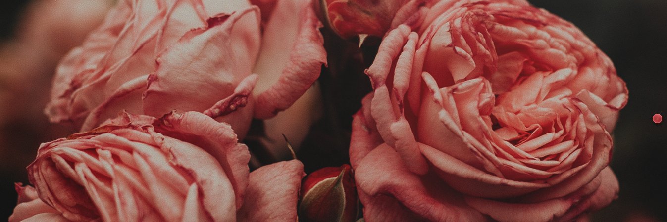 m. ❄ banner