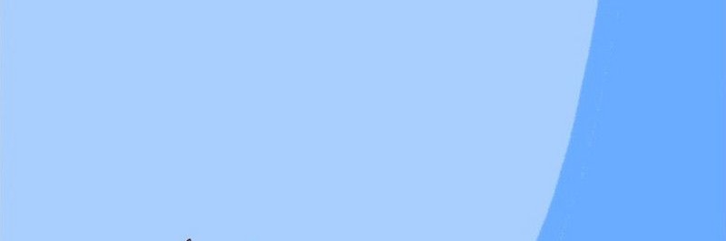 Travisshay banner