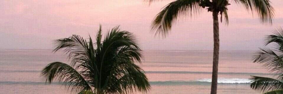 𝐏𝐚𝐮𝐥𝐢𝐧𝐚 🪽 ⋆˙⟡ banner