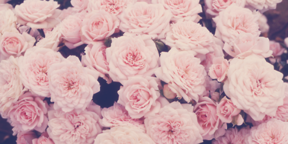 AstiiAurelestha's profile banner image