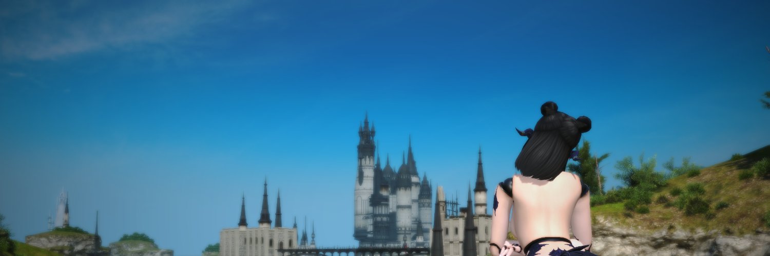 Vee banner