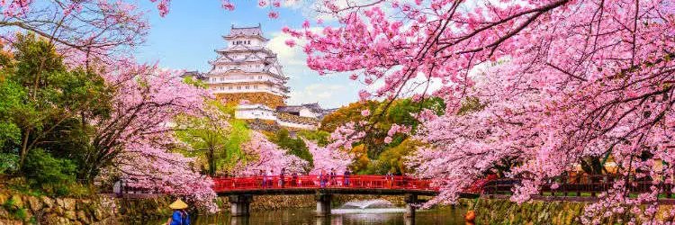 Michael Q Todd banner