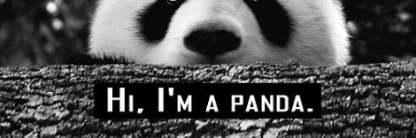 SabrinaAlves5's profile banner image