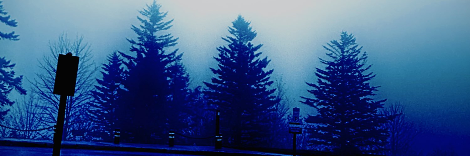 🖤 banner