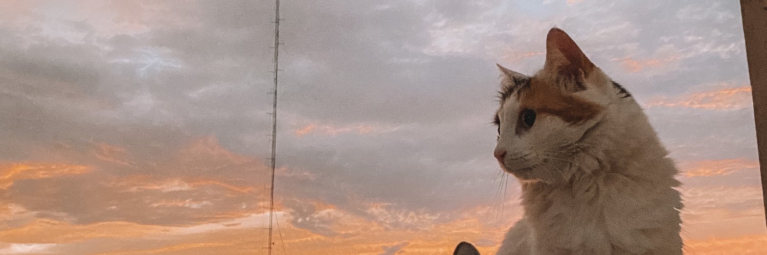 GonzalezGabbi's profile banner image