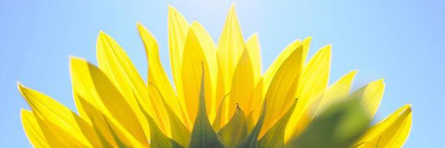 ____chanaya's profile banner image