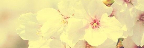 Karirmrm's profile banner image