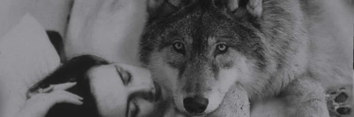 🦢 banner