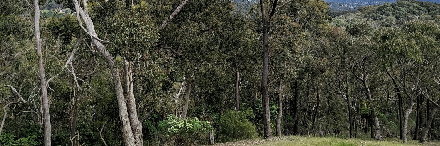Deedzy's profile banner image