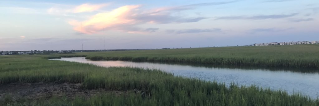KaceyMack22's profile banner image