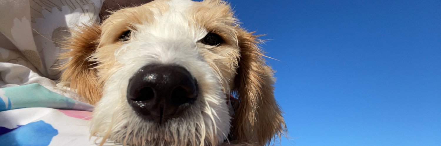 randypebbles's profile banner image