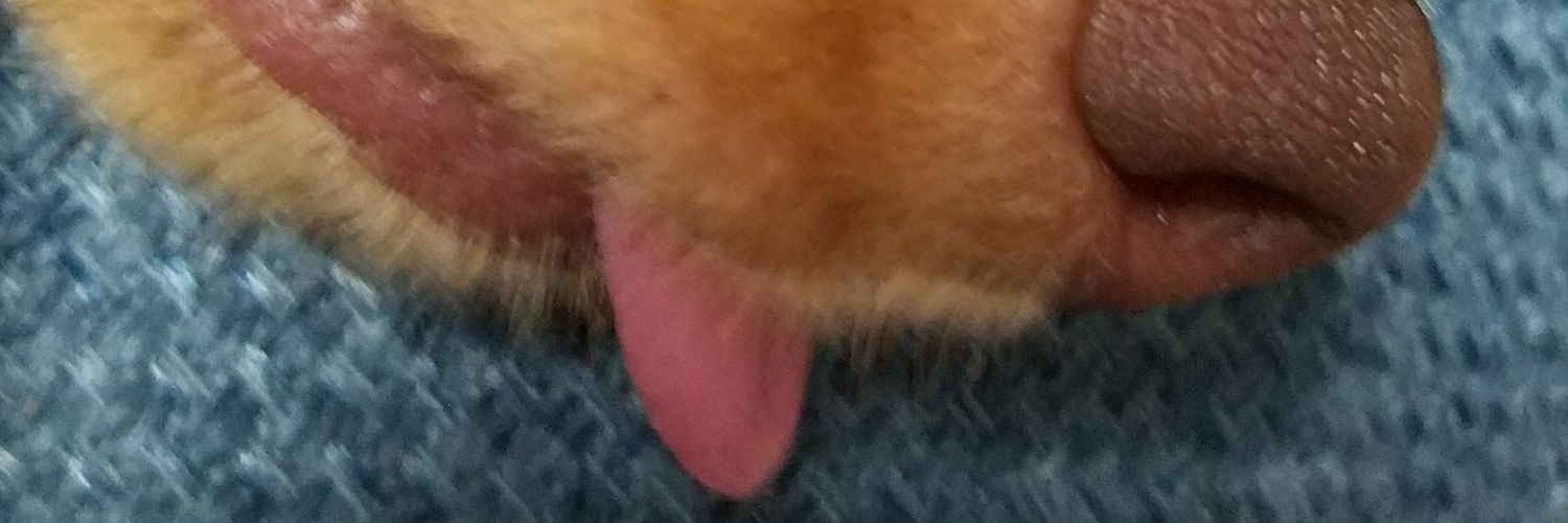 unk39's profile banner image