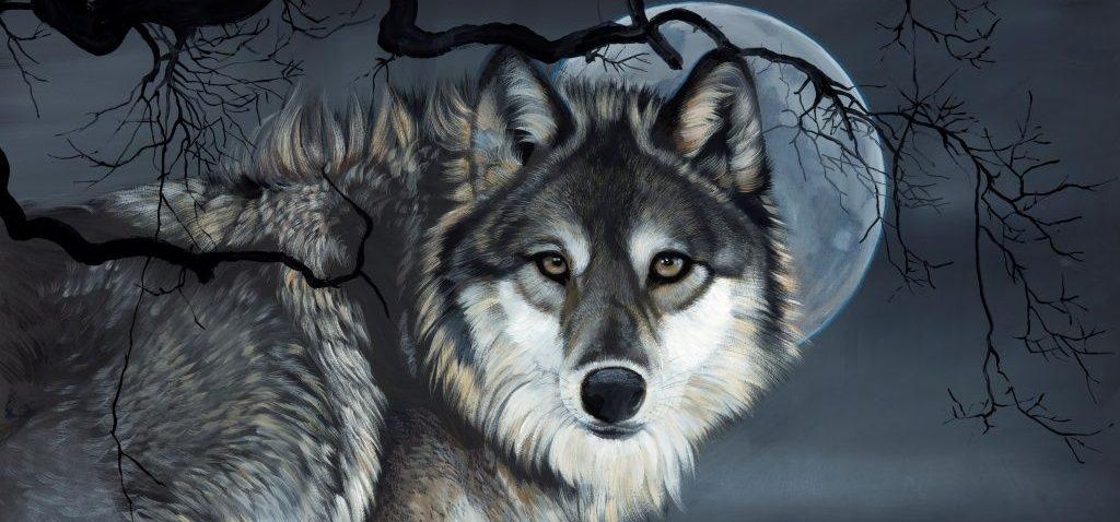 هلوسة - دغوم 👑 banner