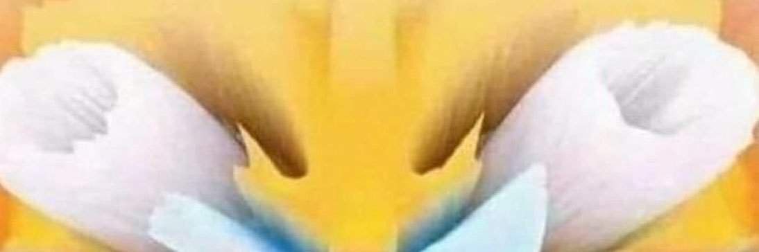 ipumpchart's profile banner image
