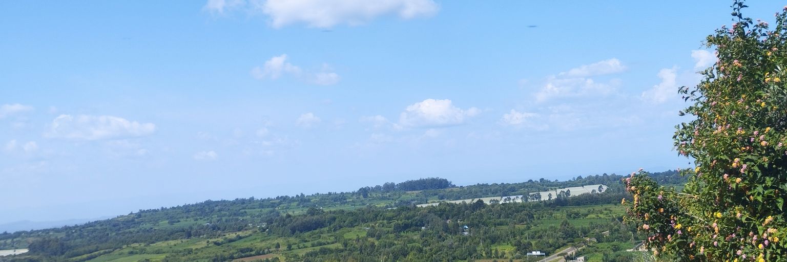 BuneiNickron's profile banner image