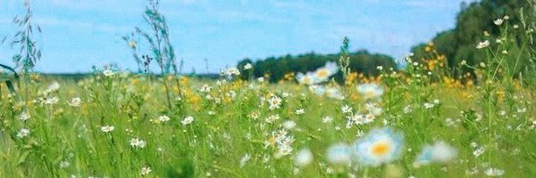 tscbecker Profile Banner