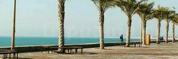 bsamadani88's profile banner image