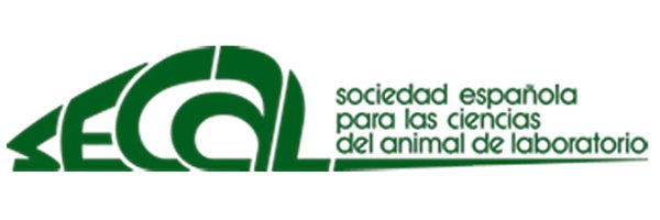 SECAL_T Profile Banner