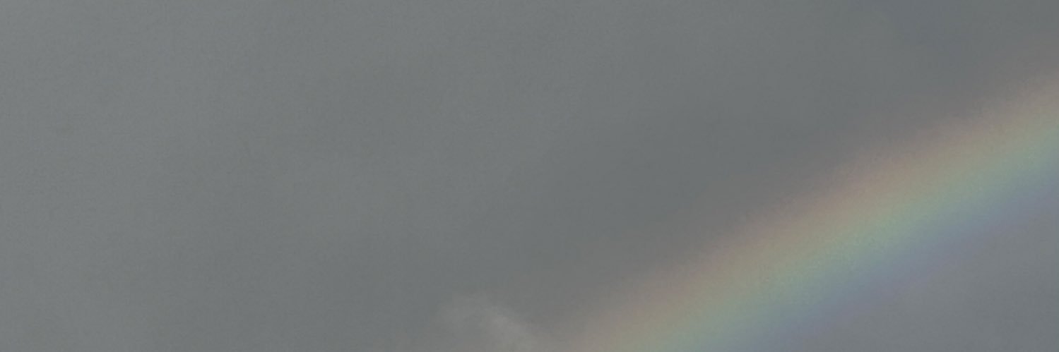 stormcough's profile banner image