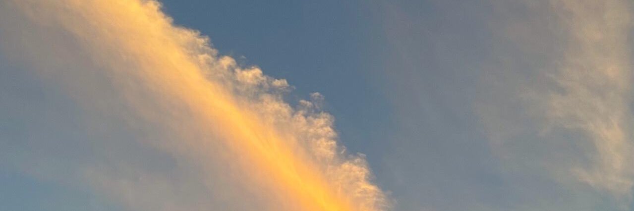 こ ば り ゅ う banner