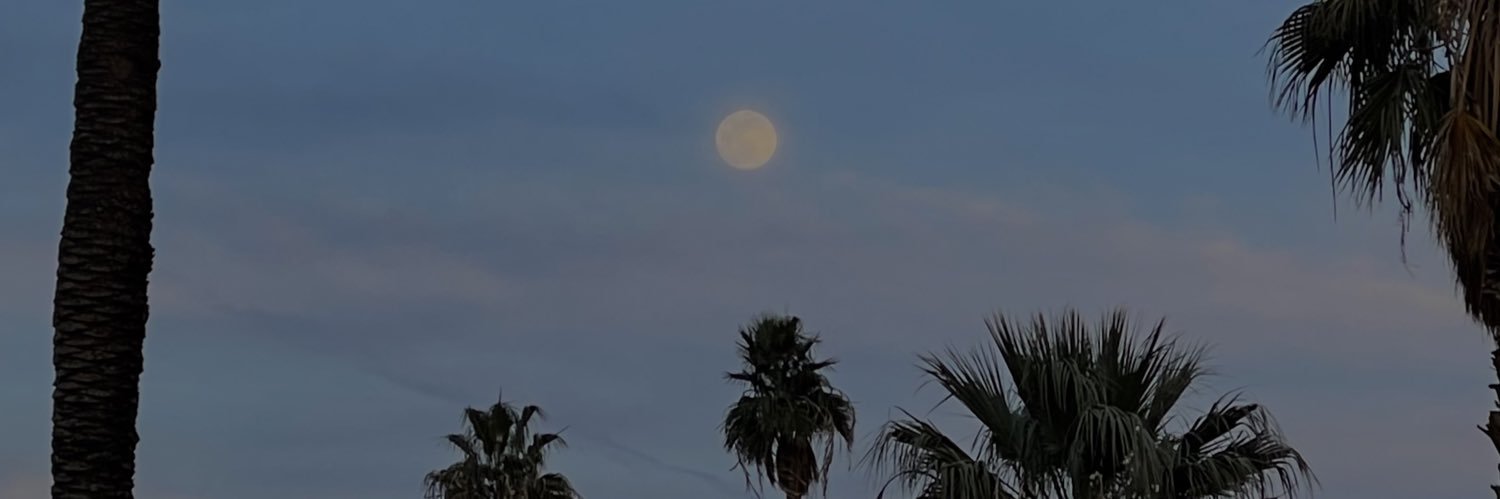 MaseRiggins's profile banner image