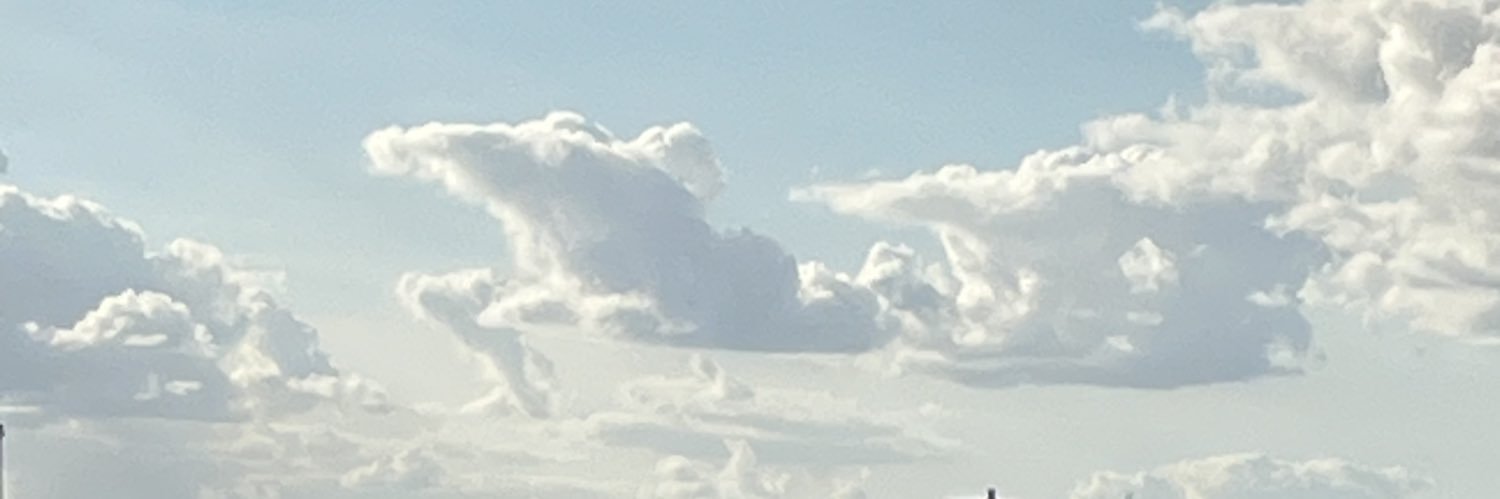 moncolonelBFM's profile banner image