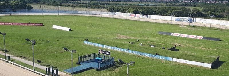 Free Greyhound Tips banner