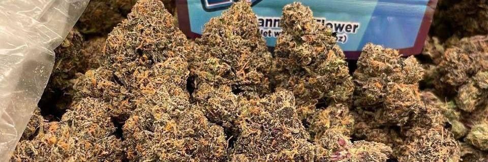 Paisleyplug's profile banner image